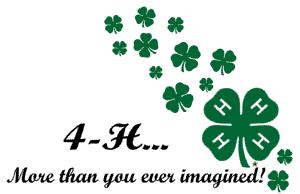 Image of ...4-H clover