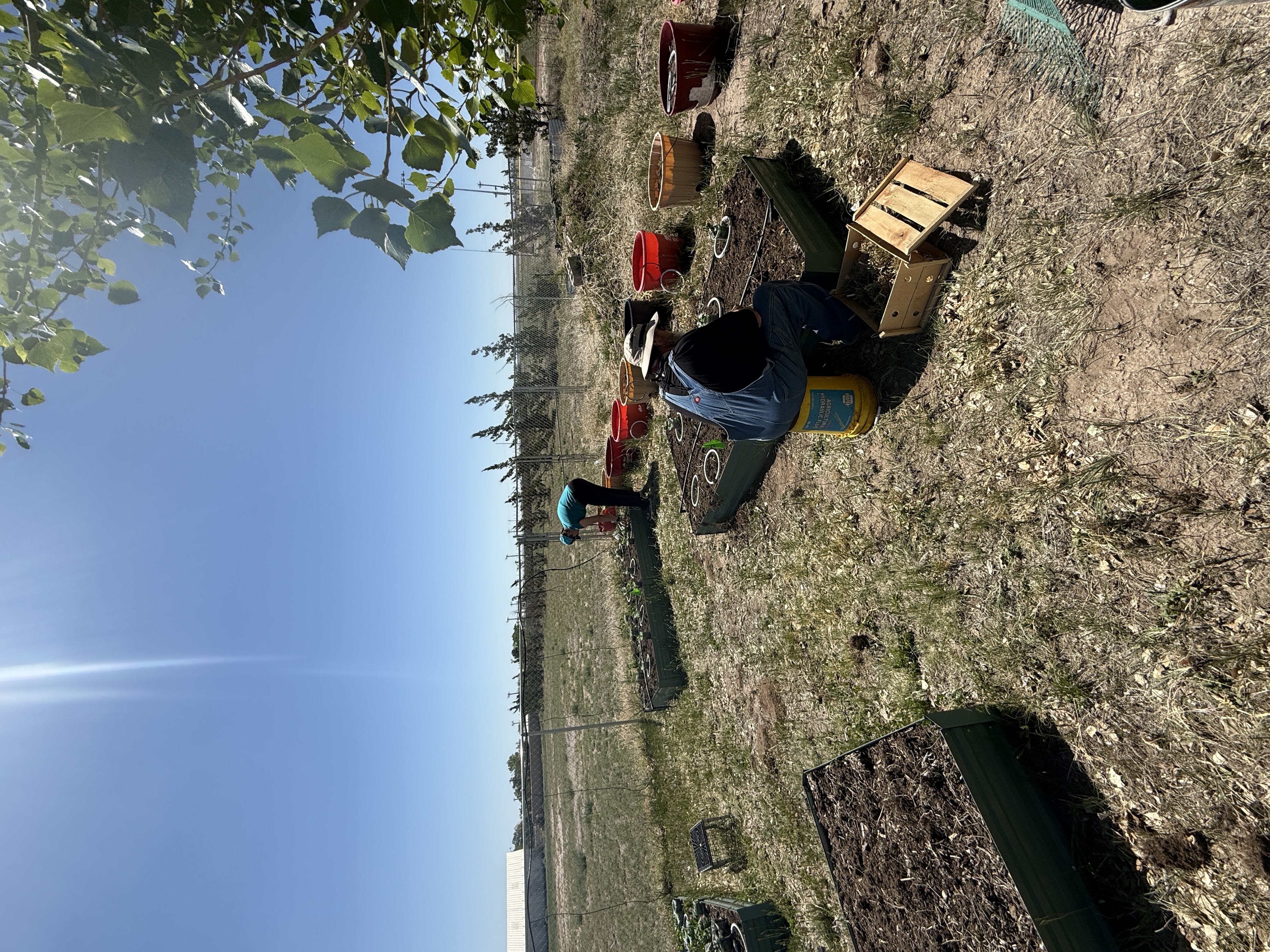 community garden 2