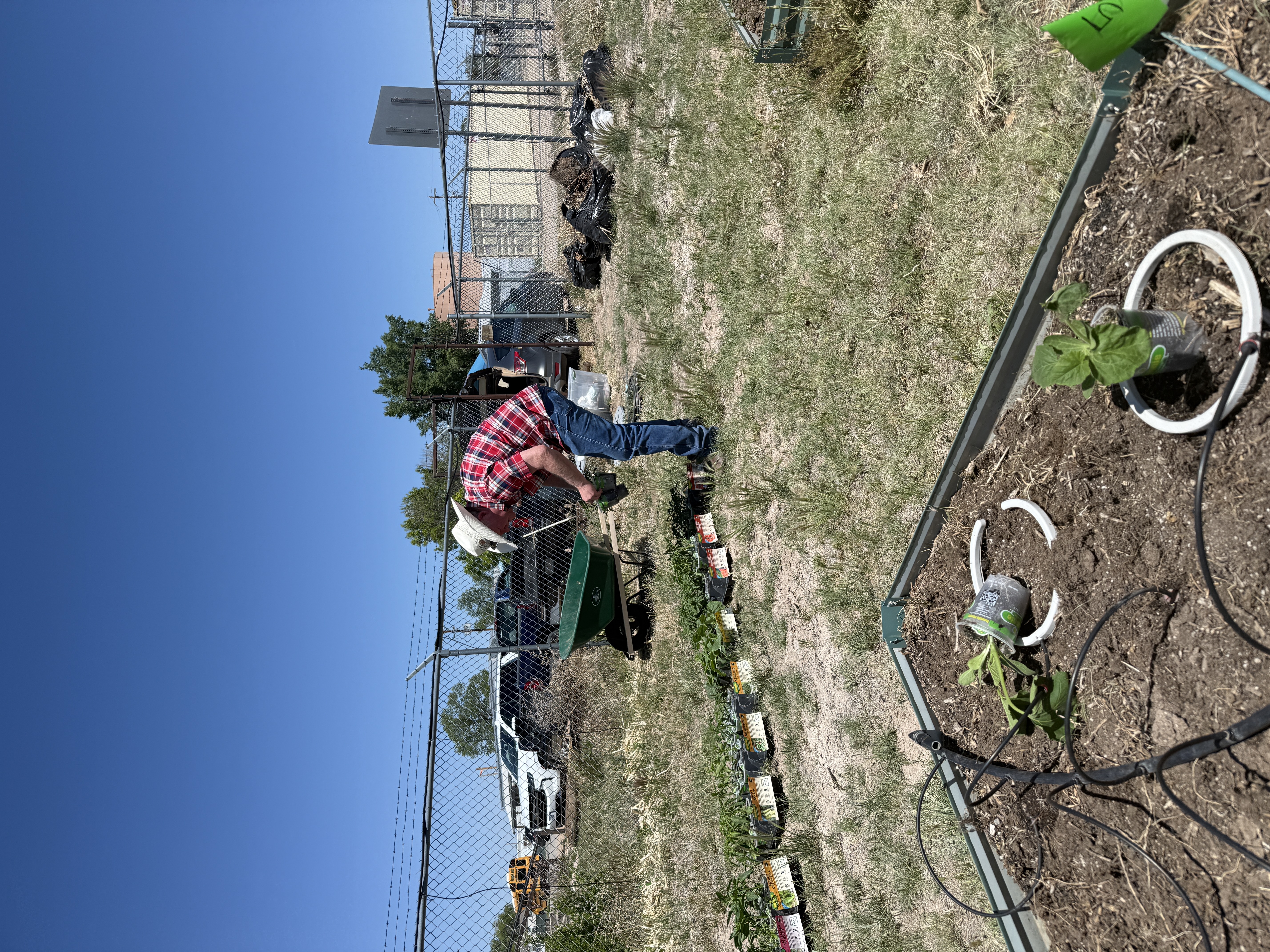 community garden 3