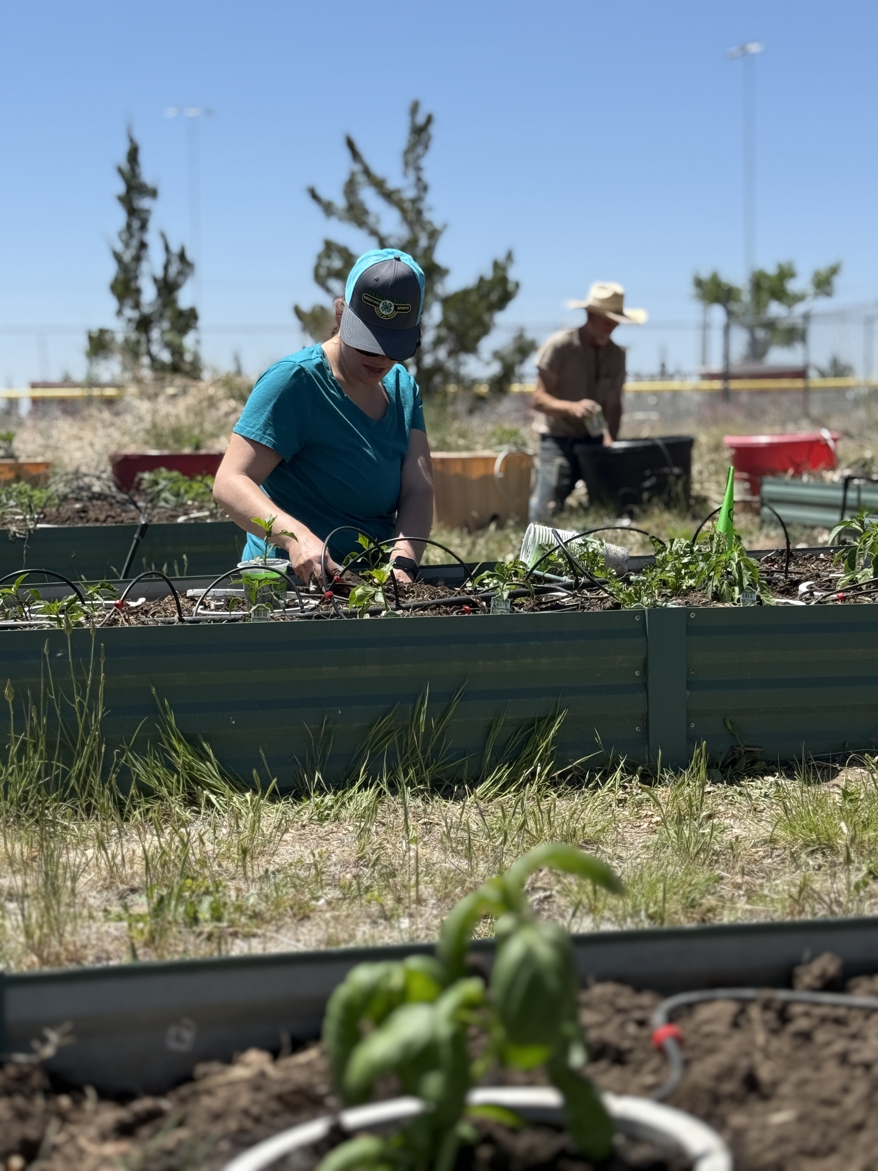 community garden 5.21.25