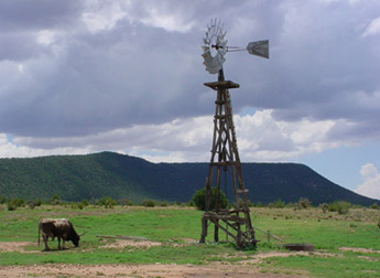 Image of torrance county